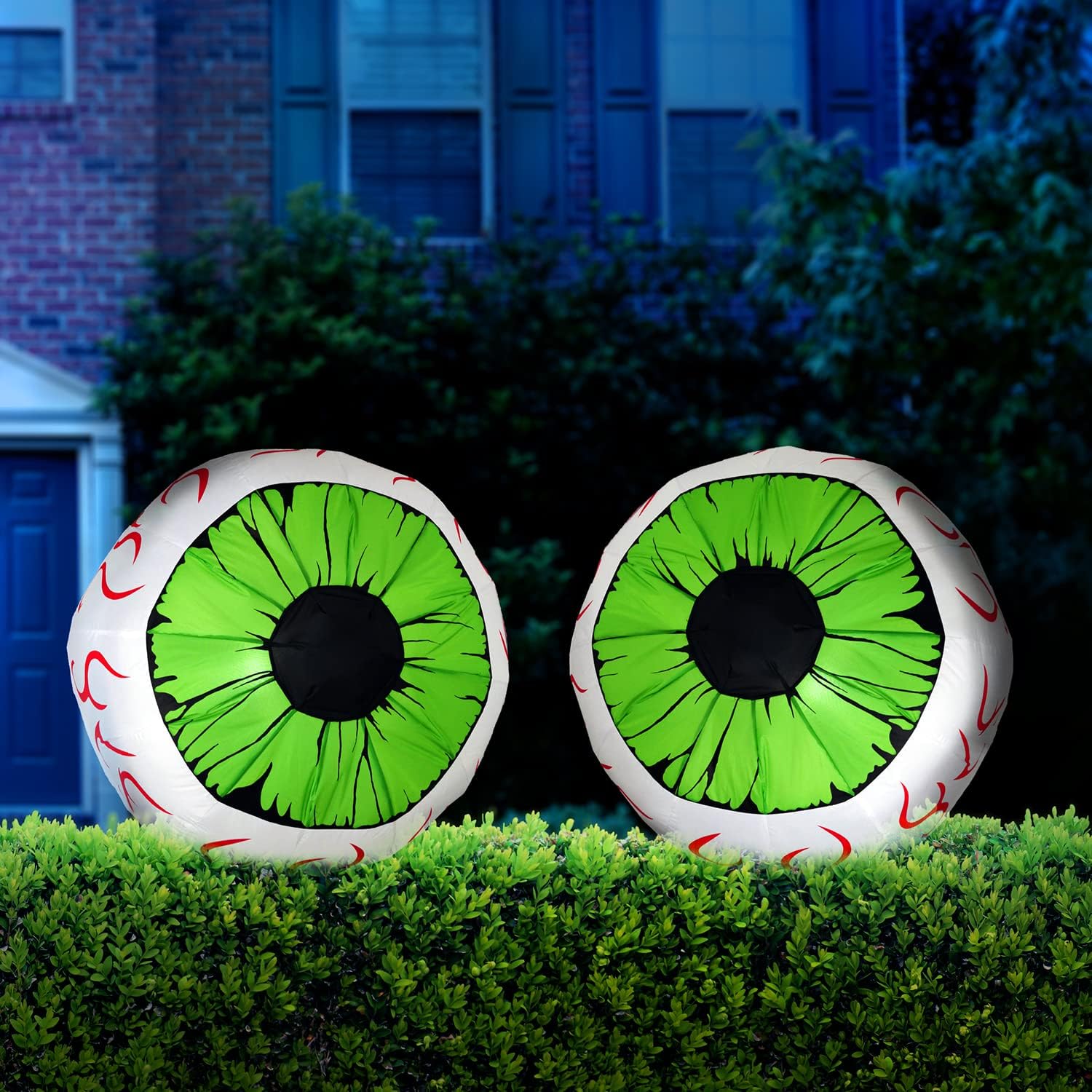 Globos oculares