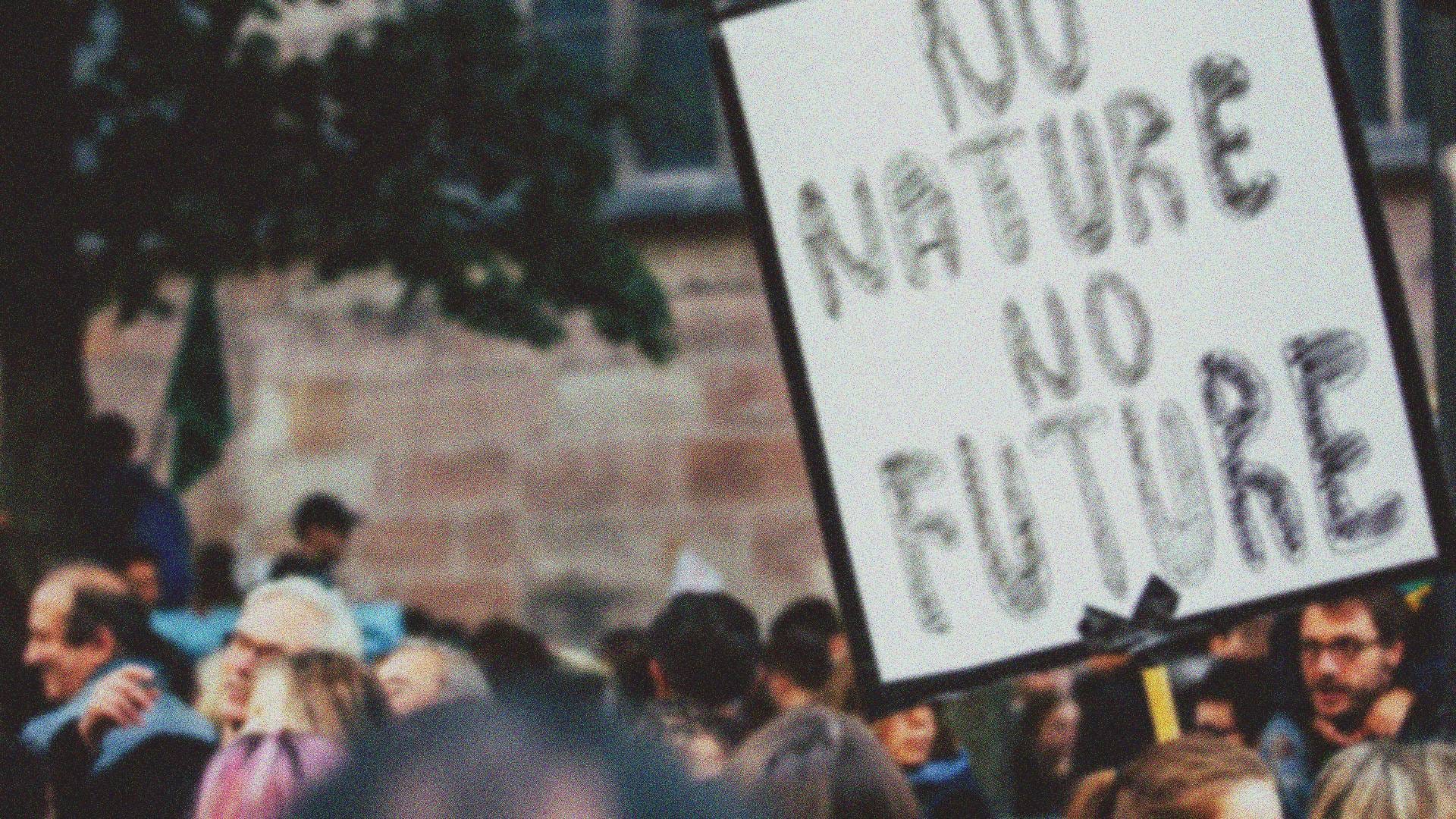 Sin monitoreo, sin datos, sin justicia: el retroceso ambiental ya empezó