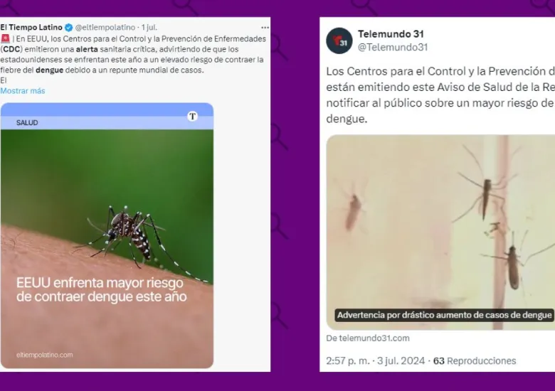 casos dengue