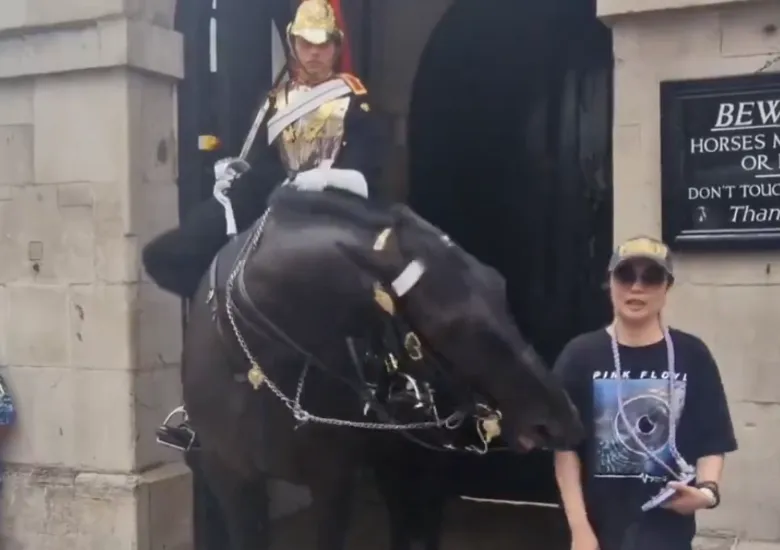 Turista caballo de la Guardia Real