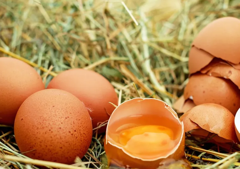 Gripe aviar huevos