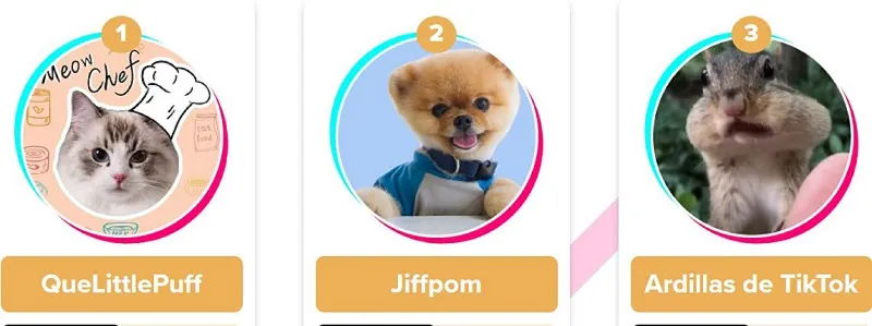 Las tres mascotas con más ganancias en TikTok: Hasta 26 mil dólares por publicación