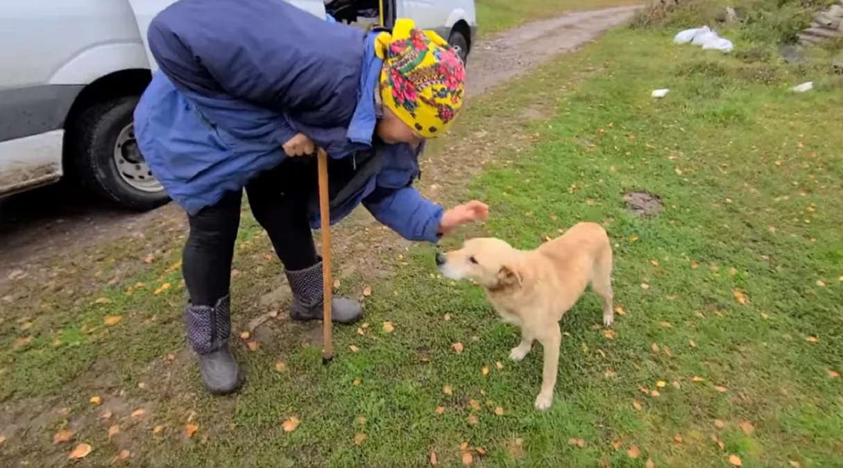 Mujer se reencuentra con su perro tras bombardeo en Ucrania