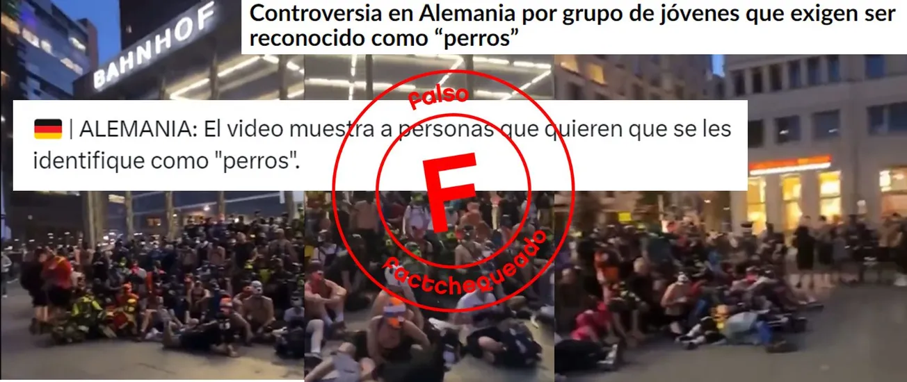 Personas se identifican como perros