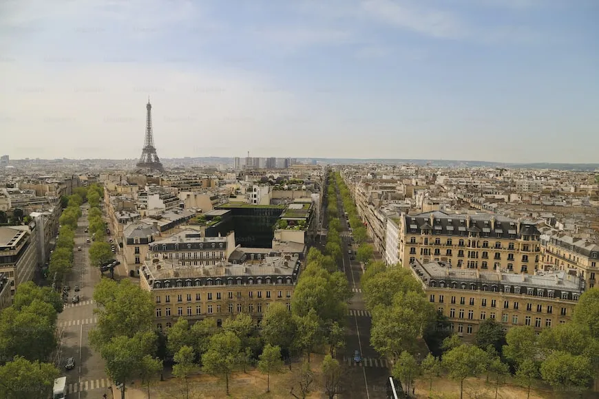 París perdió la batalla en exterminar a las ratas