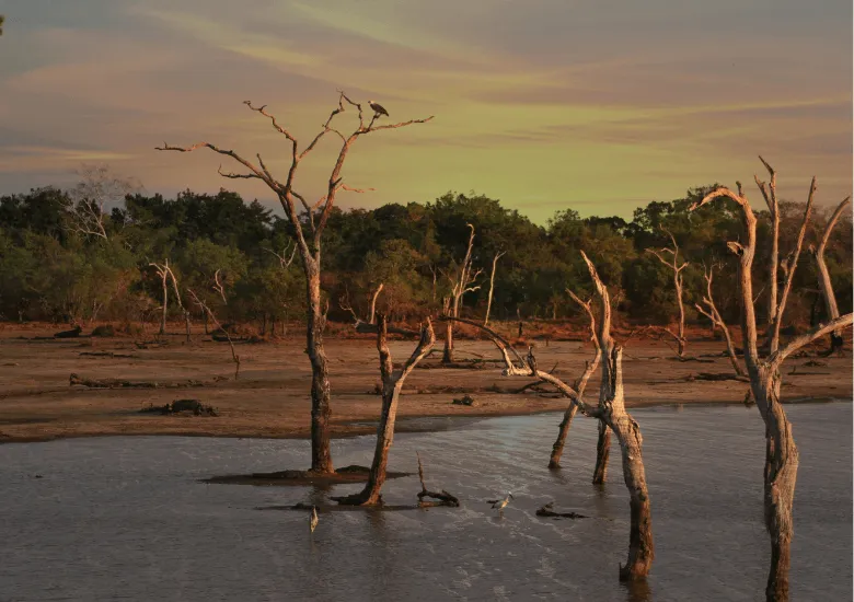 agua méxico EEUU