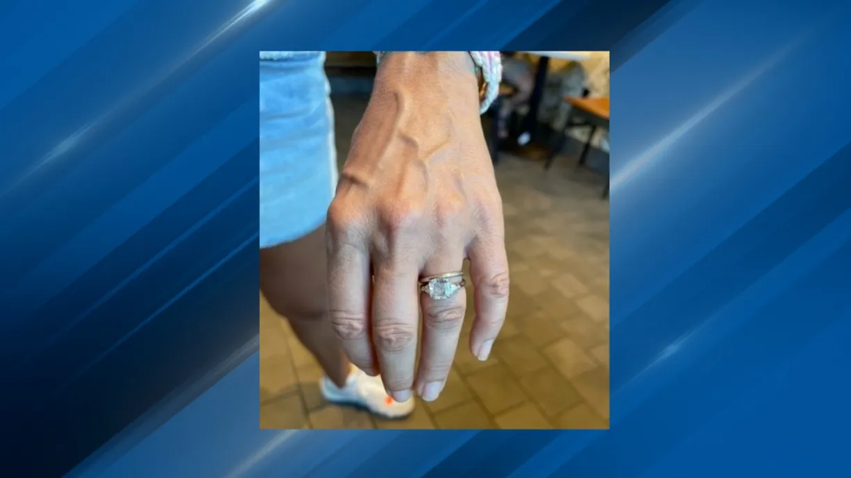 Chicago: buzos recuperan anillo de diamante que cayó en el río Charles