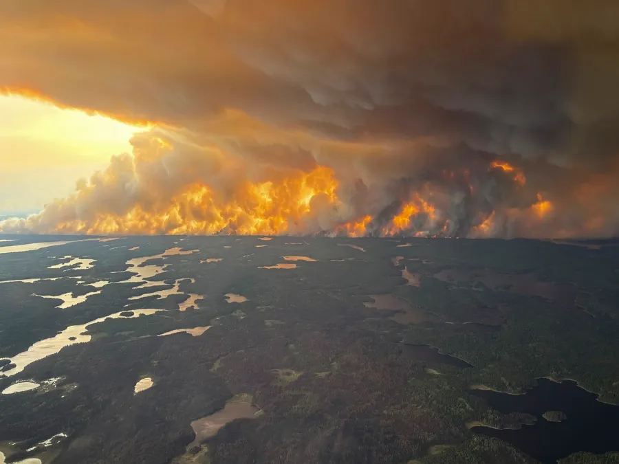 El humo de los incendios en Canadá tiñe de gris el cielo de Washington DC
