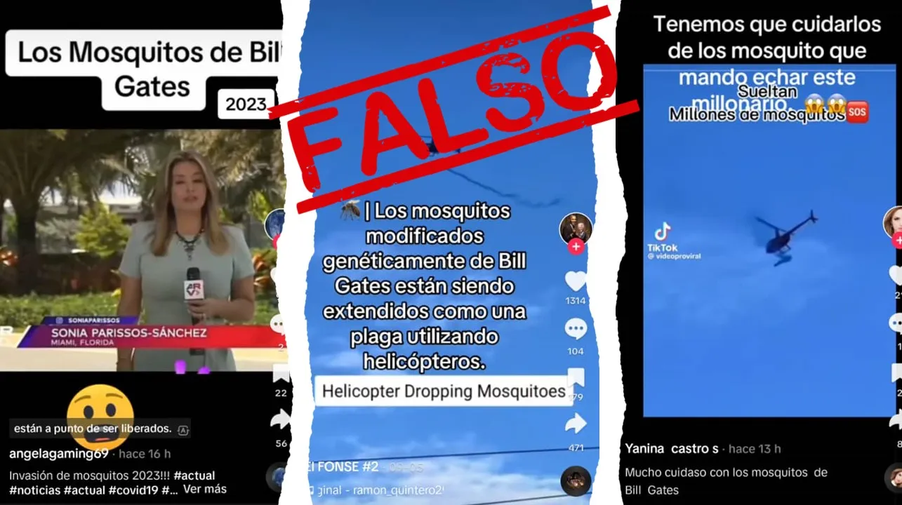mosquitos tiktok