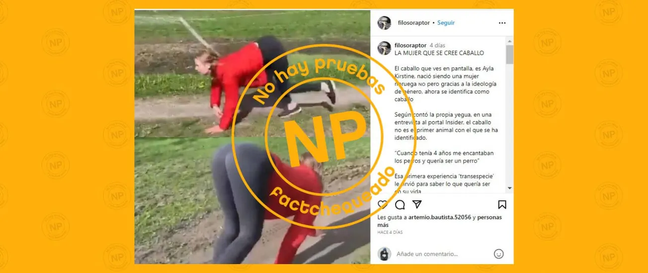 Como un caballo se identifica mujer noruega falso