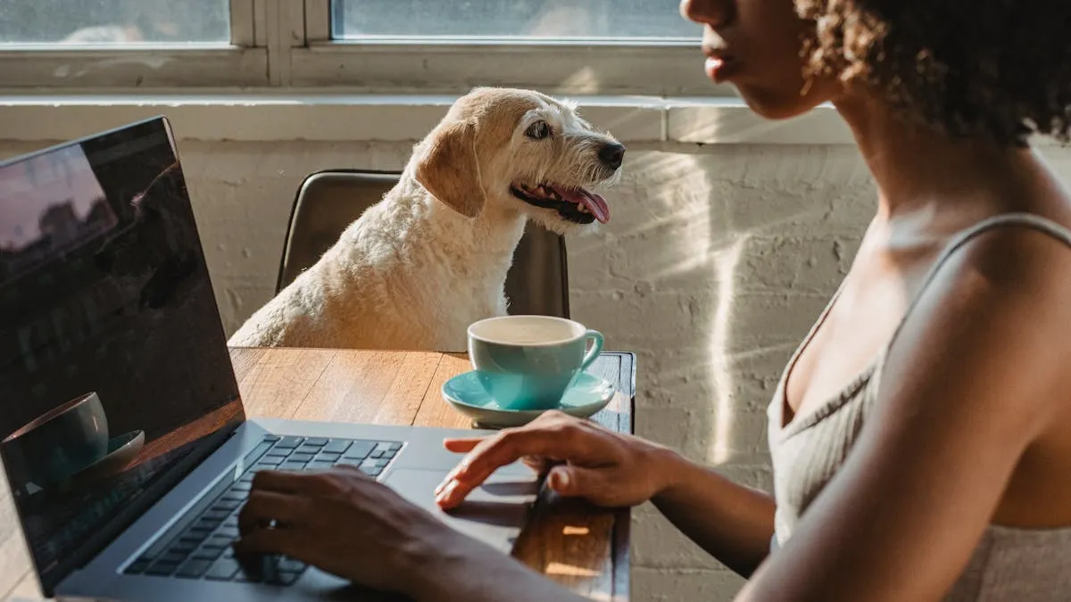 Mascotas con perks laborales, la tendencia que está rompiendo en Washington