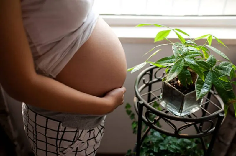 DC recibe una F en salud materna, con una tasa de partos prematuros en aumento