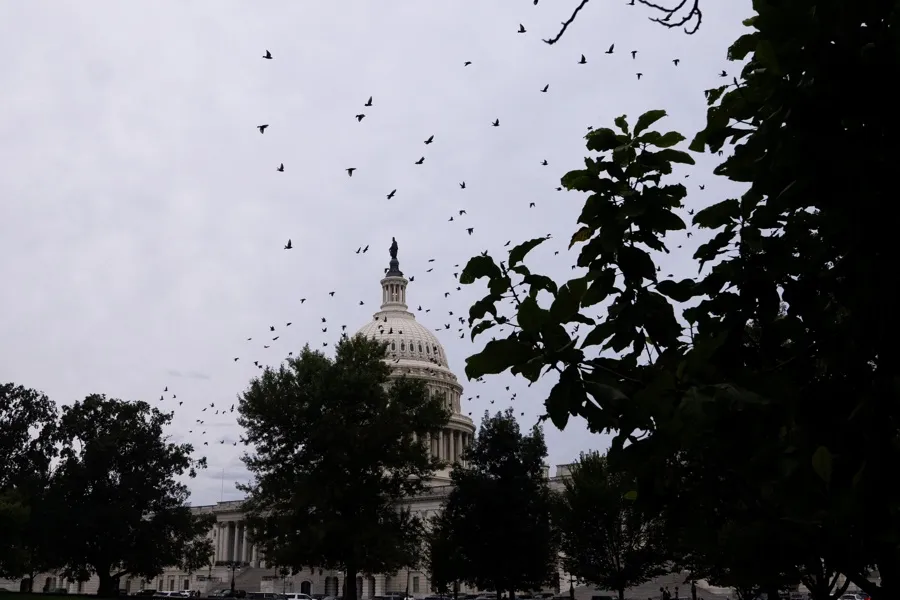 Fin del shutdown: qué esperar en DC