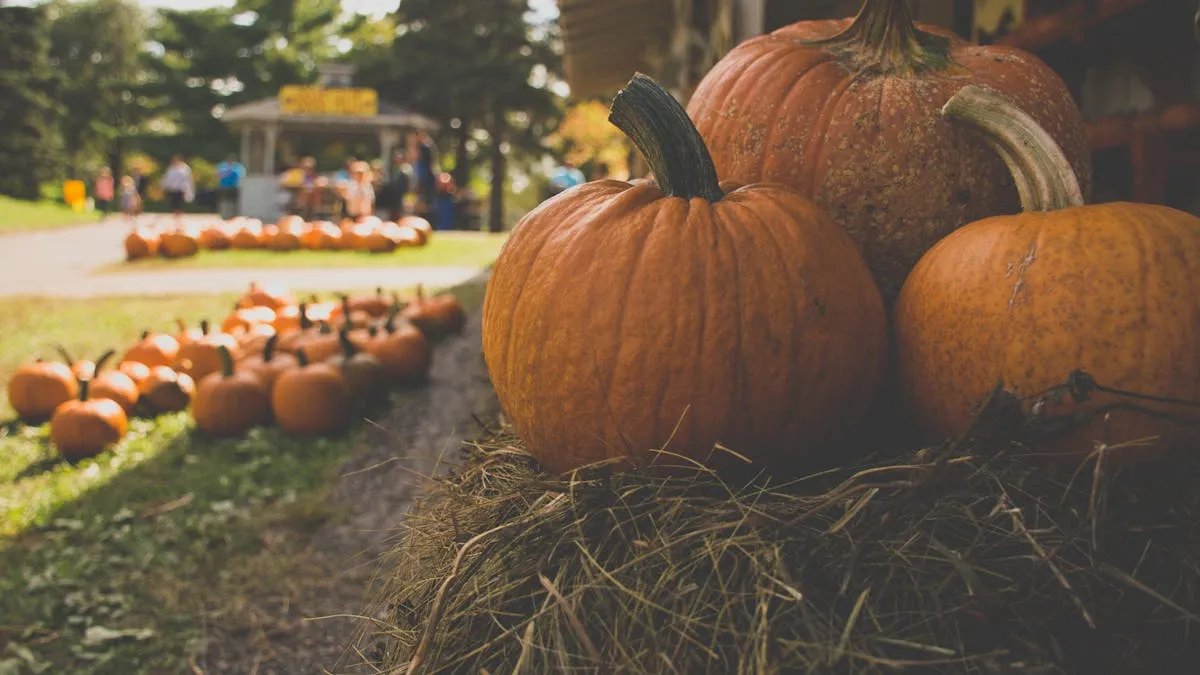 No tires tus calabazas: ideas ecofriendly para reciclarlas post-Halloween