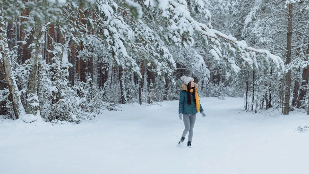La primera gran nevada del año podría llegar este fin de semana a DC