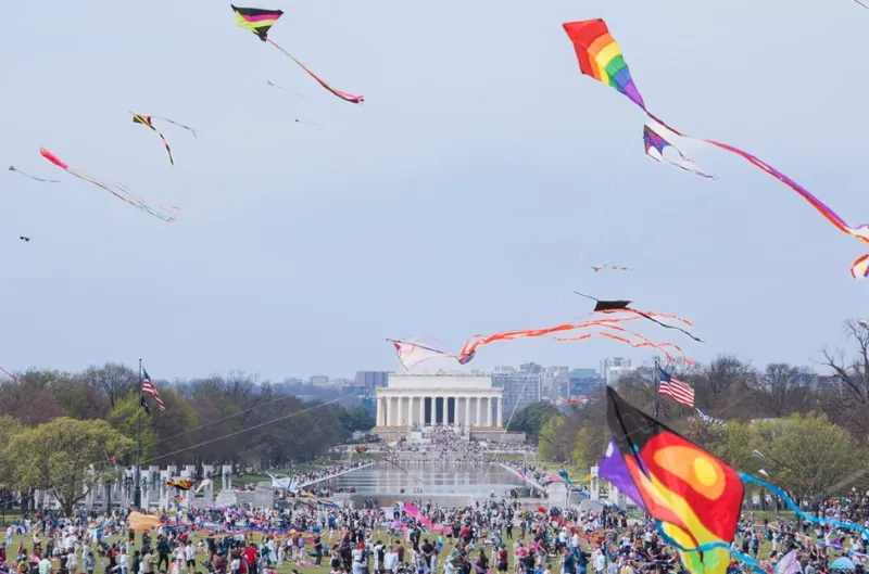 Los mejores eventos del Cherry Blossom Festival 2026