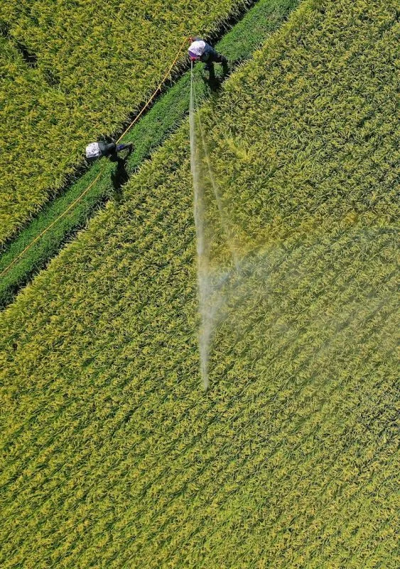 Trabajo en el campo