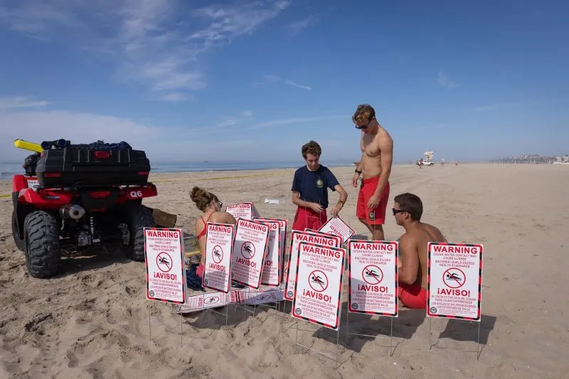 Aves y peces muertos llegan a la costa de California debido a un derrame de petróleo