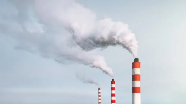 Medio ambiente: por qué el alabado concepto de cero neto para emisiones de carbono es "una trampa peligrosa"