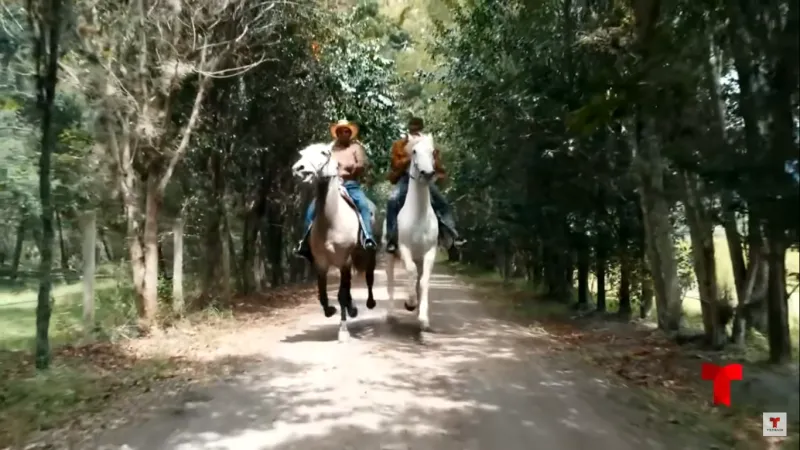 Telemundo compartió el primer vistazo exclusivo de la segunda temporada de Pasión de Gavilanes que se estrenará en febrero.