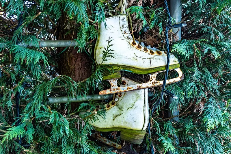 No dejes el árbol de Navidad viejo en casa. Conoce cómo reciclarlo en Washington DC