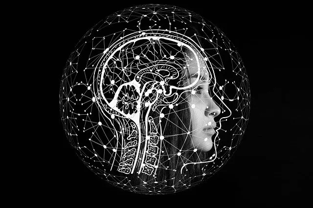 Cerebro conectado