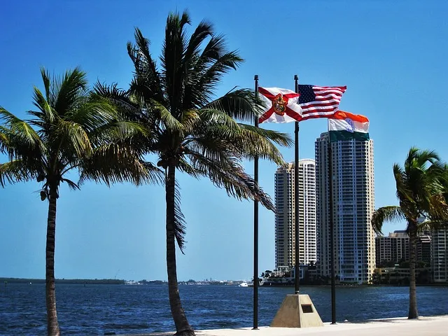 Florida senadores