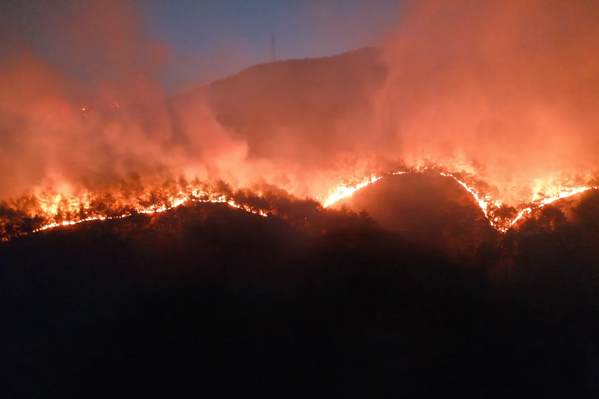 ONU: Los incendios forestales aumentarán y se extenderán por el mundo