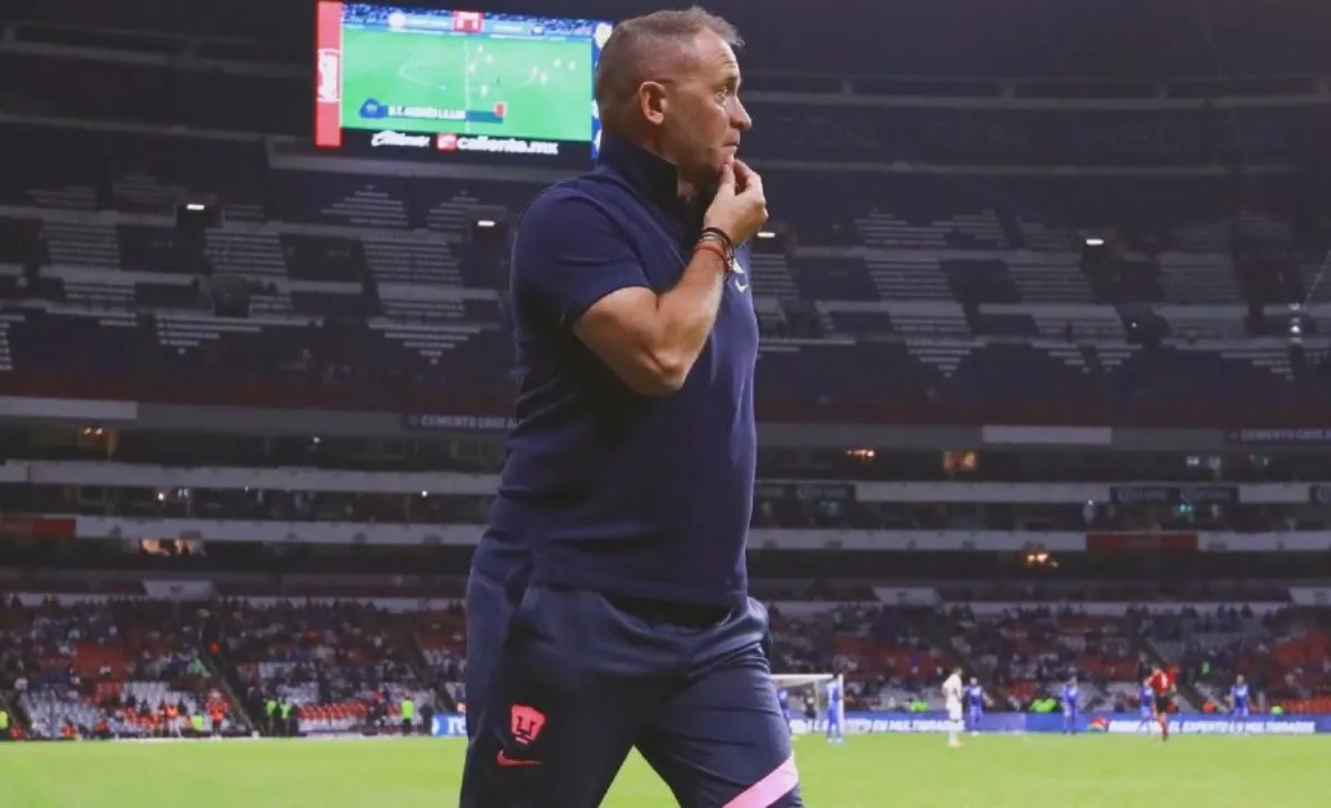 Pumas