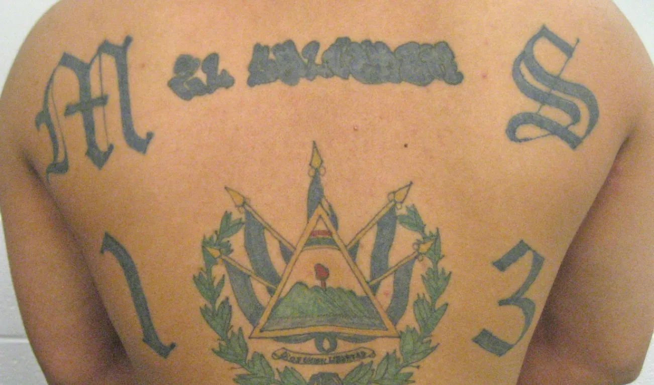 ms 13 marasalvatrucha