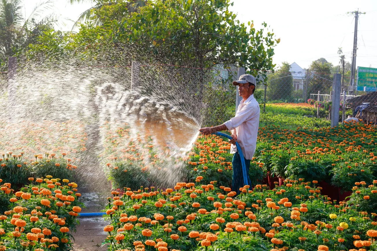 California restringe uso de agua en exteriores
