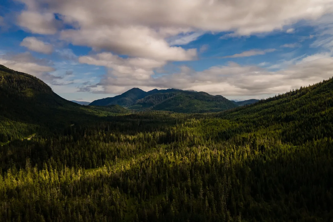 Tongass National Forest en Prince of Wales Island, Alaska. Foto: Washington Post photo by Salwan Georges.