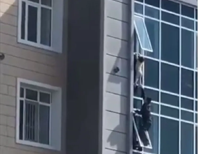 Hombre salvó a una niña de 3 años que estuvo a punto de caer de un octavo piso en Kazajistán