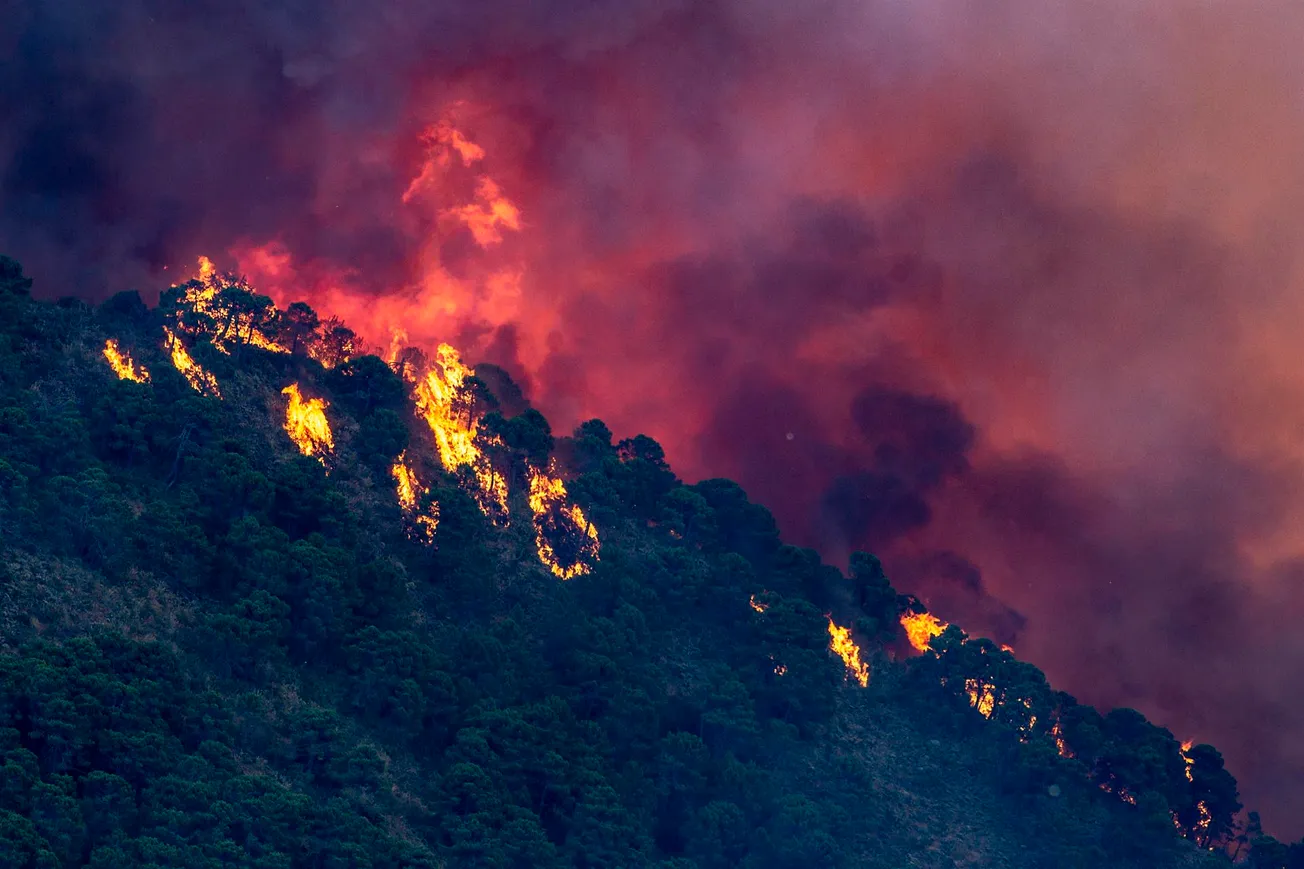 incendio forestal