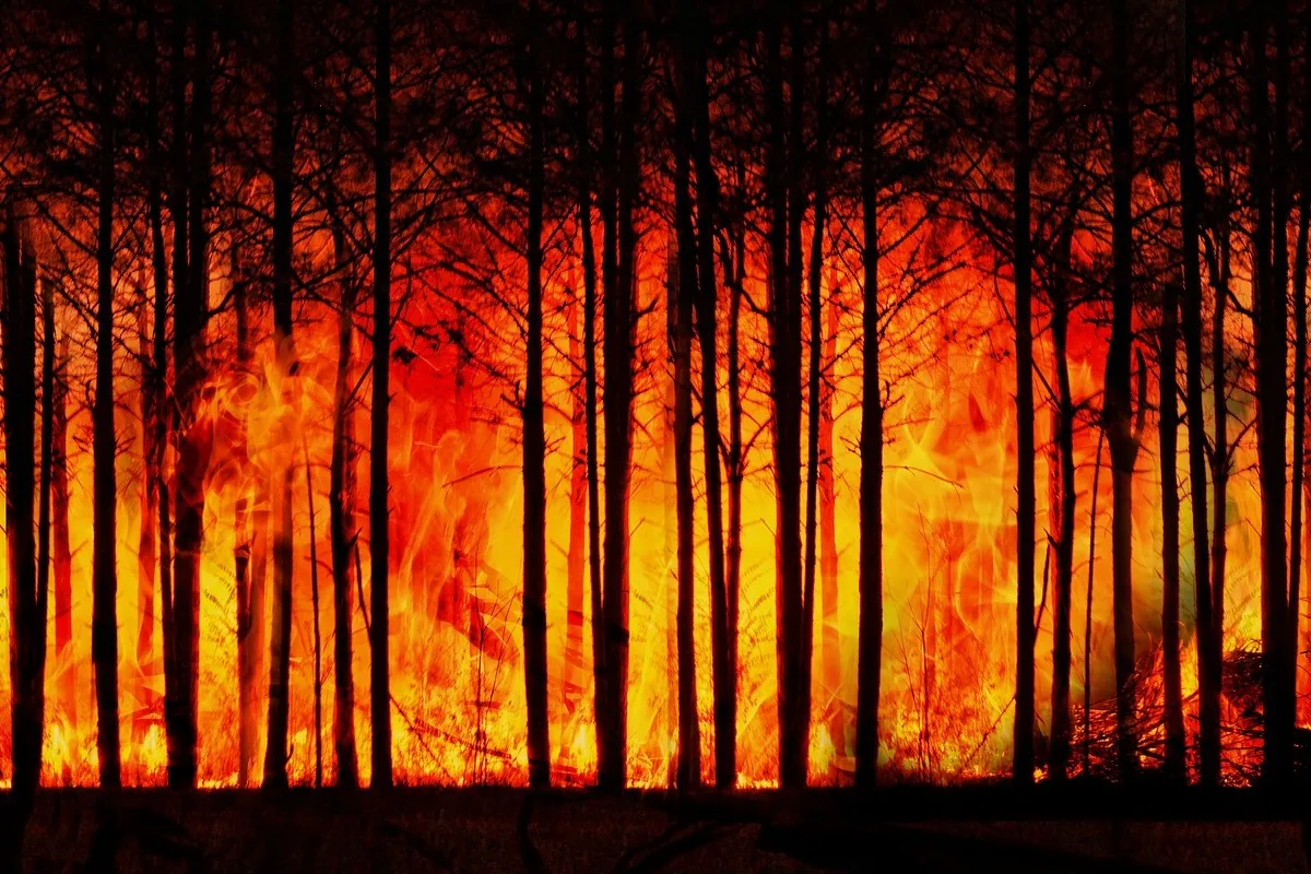 incendio California