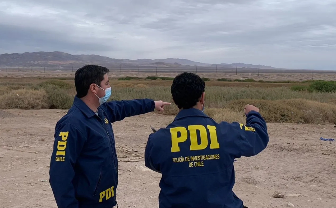 En Chile un hombre fue asesinado por seis perros