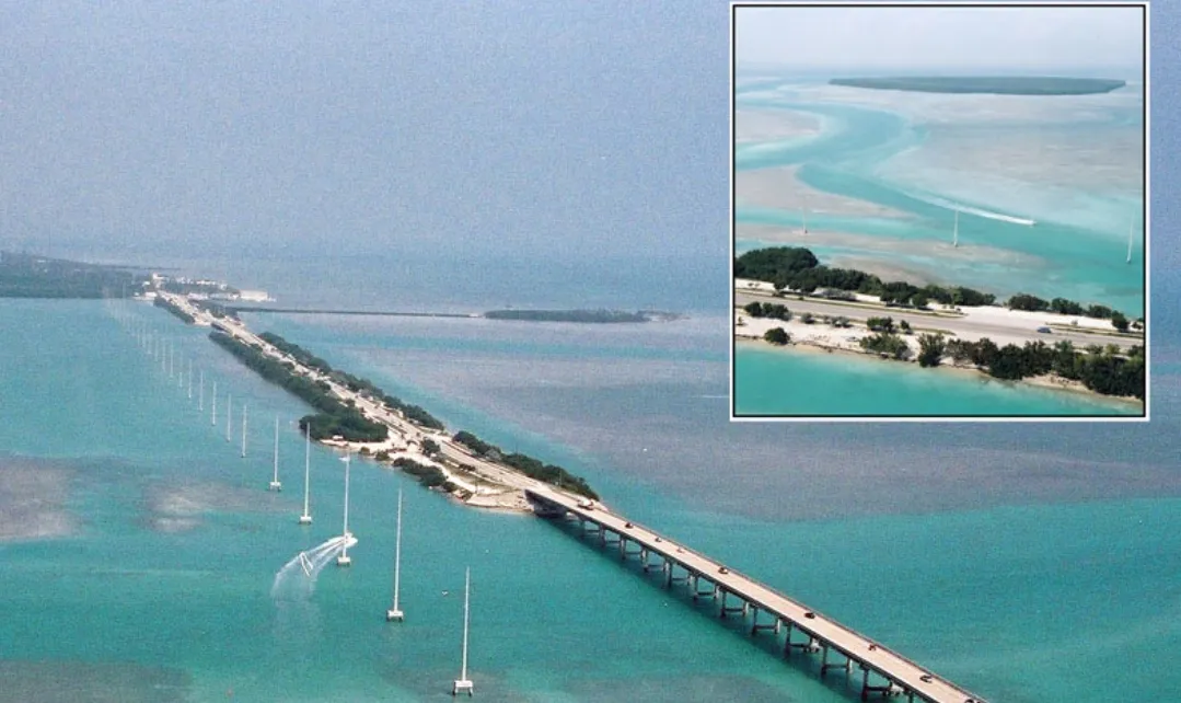 Niño perdió una pierna por ataque de tiburón en Florida