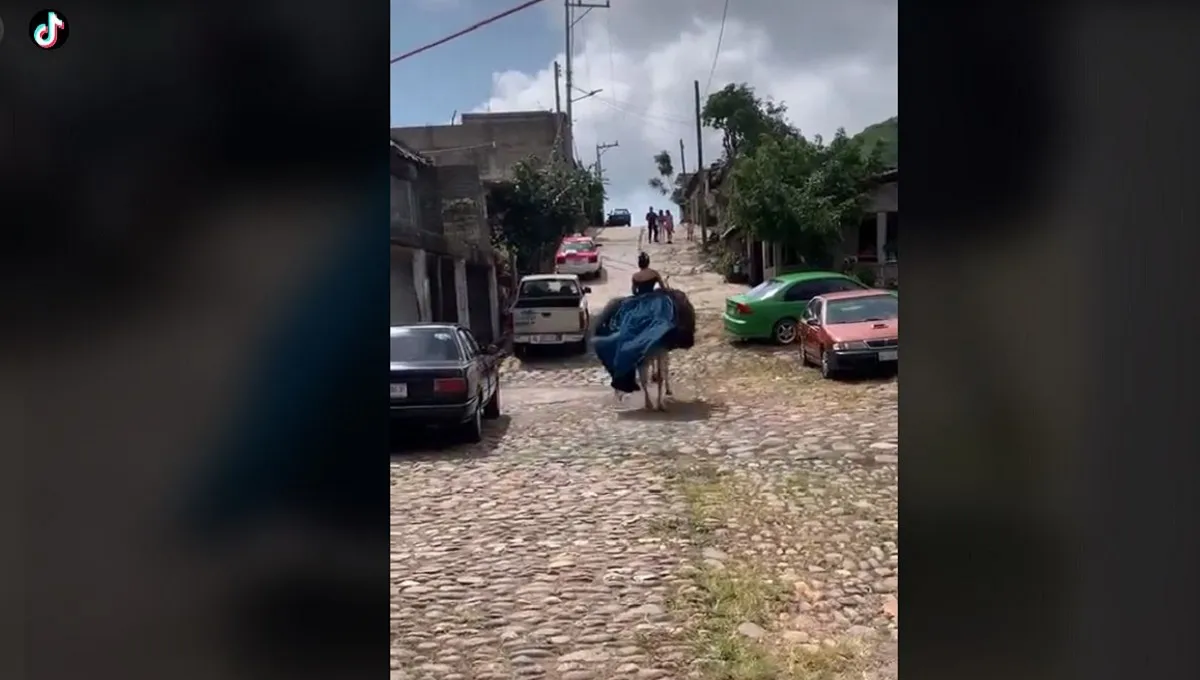 Se viraliza caballo que huye con quinceañera durante sesión de fotos