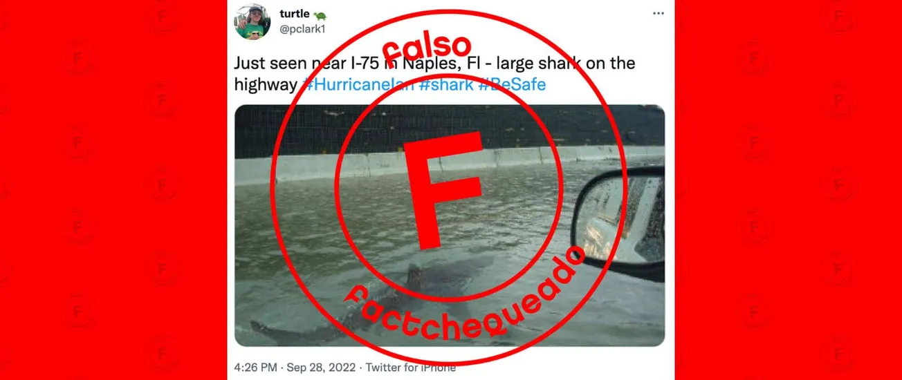 No, esta no es una foto de un tiburón en Florida: es una imagen editada