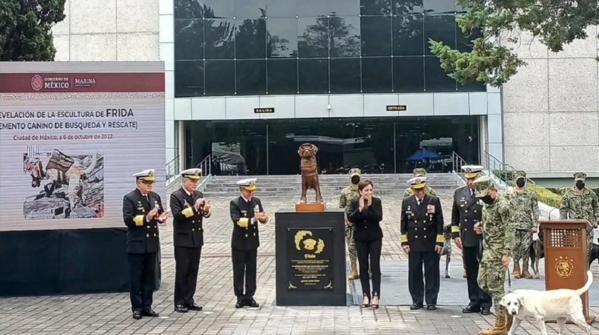 Instalan estatua en honor a Frida, una perrita rescatista en México