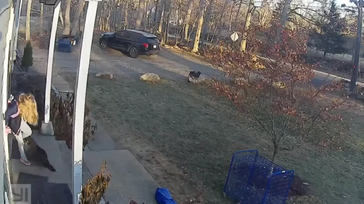 Mamá salvó a su hija del ataque de un mapache en Connecticut