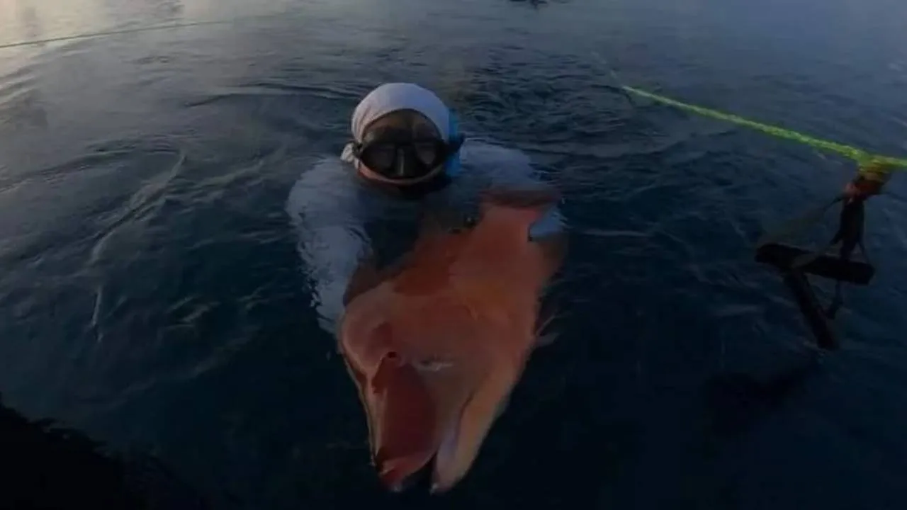 Un buzo logró salvar su vida tras tres horas a la deriva en los Cayos de Florida