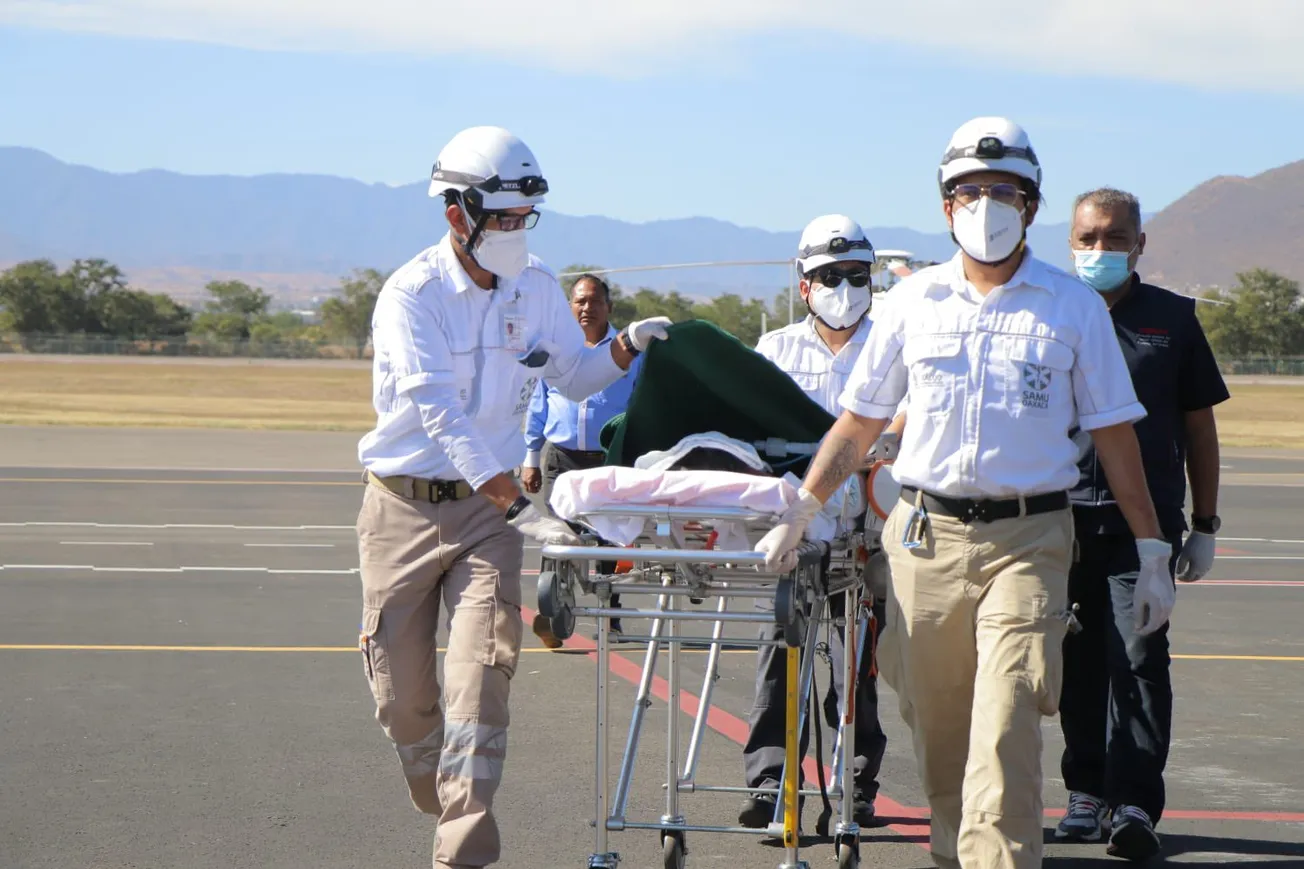Mordedura de murciélago en México deja segunda víctima mortal