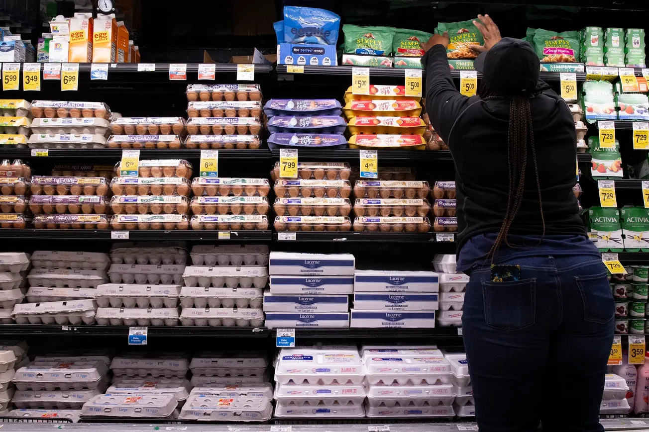 precio de los huevos importar huevos importación