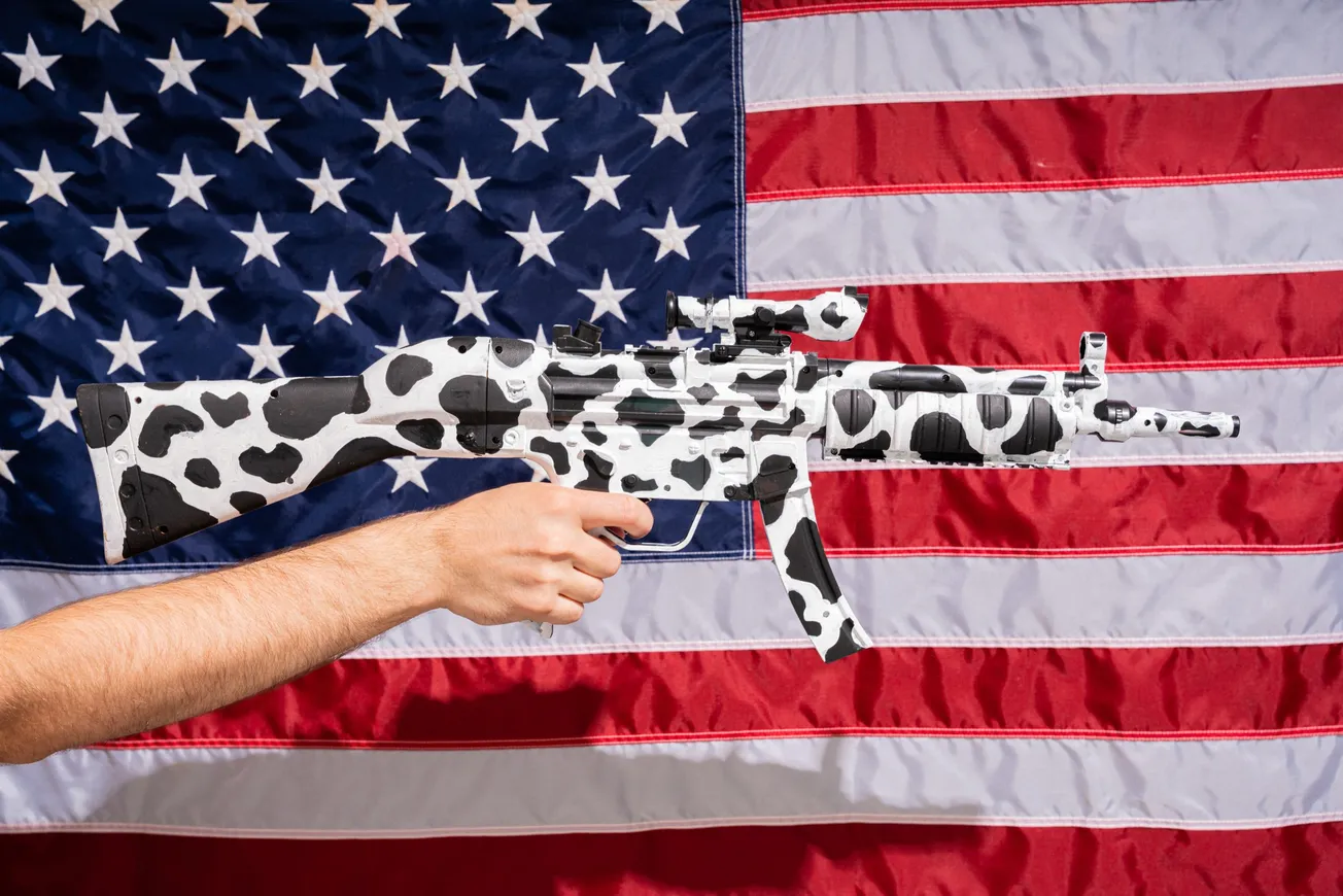 Los 24 estados de EEUU con las leyes más débiles en control de armas