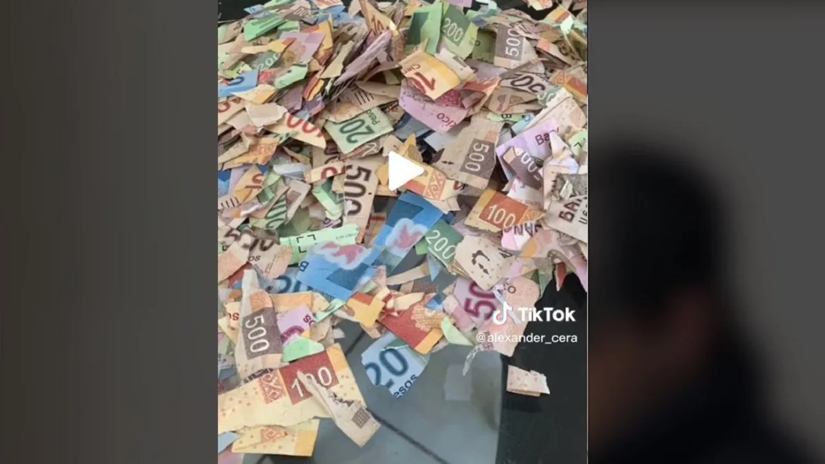 Niña recorta billetes pensando que son papelitos de colores y deja sin ahorros a su primo