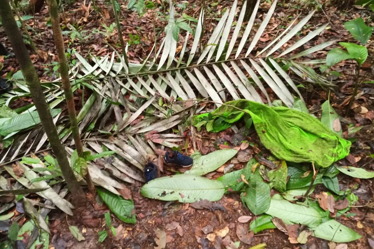 Hallan nuevos rastros de los cuatro niños desaparecidos tras accidente aéreo en Colombia