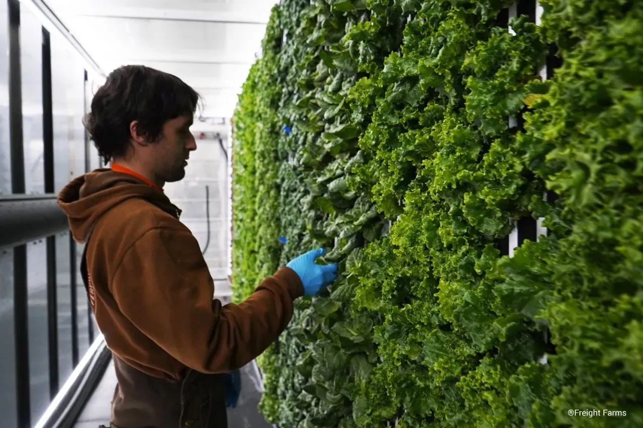 Empresa de Boston crea granjas verticales en contenedores que se pueden desplazar a cualquier parte del mundo
