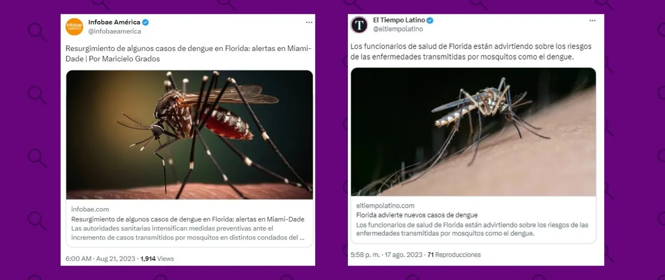 Dengue en Florida FL casos