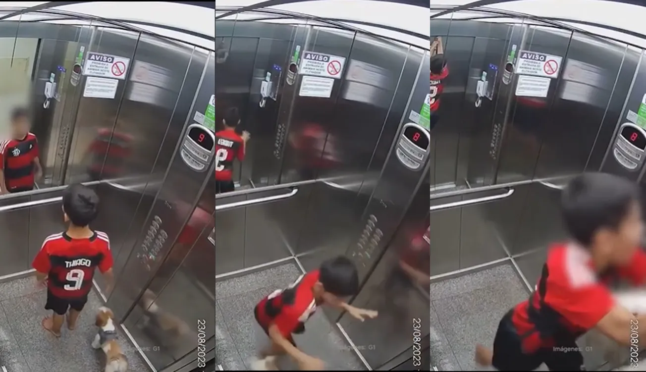 Niño salva a perrita de morir ahorcada en ascensor